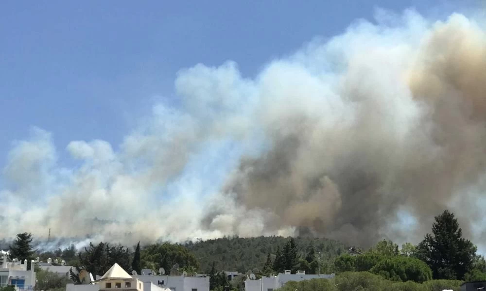 ΕΕ: Στέλνει πυροσβεστικά αεροσκάφη βοηθώντας την Τουρκία στην κατάσβεση των πυρκαγιών